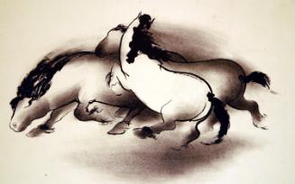 Horse Group - Stallions