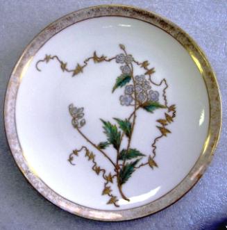 Cabinet plate