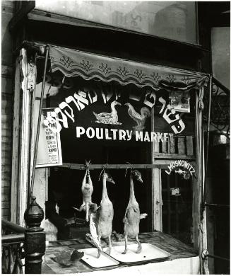 Poultry Market, NY