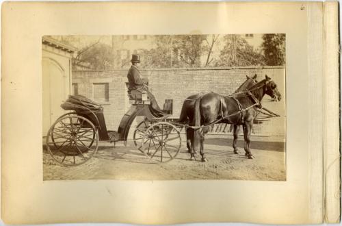 Mr. Samuel Billings, Coachman for the Ward Family, in an Open Carriage.