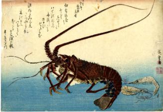 Crayfish, Two Shrimp and Poetry