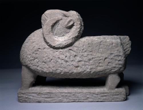 Ram