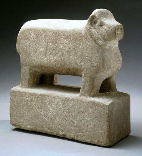 Pig