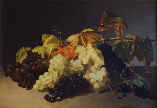 Still Life With Grapes
