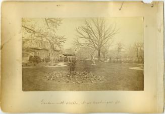 Garden with Stable, N0. 49 Washington St., Newark, New Jersey (Marcus L. Ward Home)