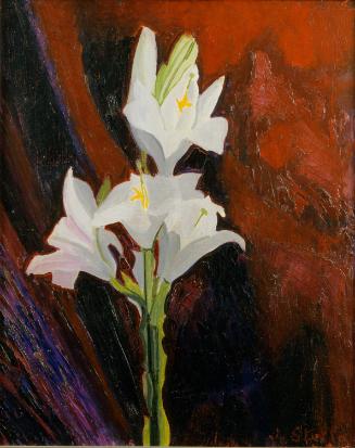 French Lillies