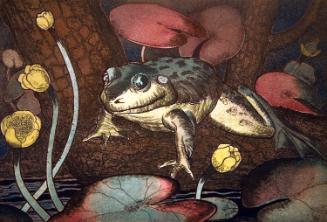 Frog and Spatterdock