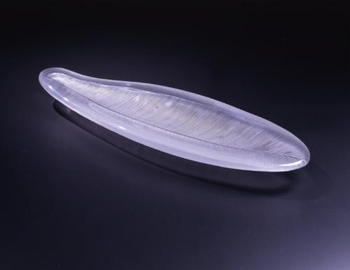 Dish