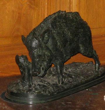 Boar