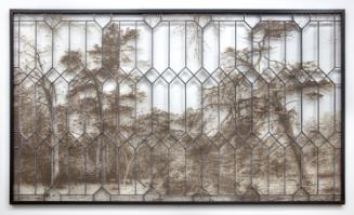 Pine Barrens 5187
